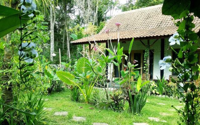 Jungle House - surf & stay