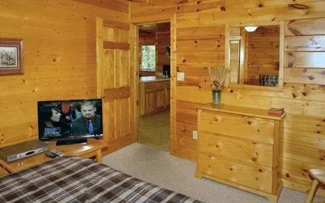 Buddy Bear 249 by Aunt Bug's Cabin Rentals