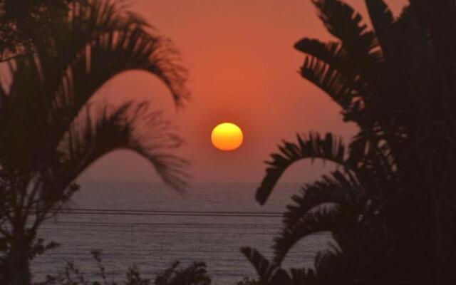 The Blue Shark Ocean View Studio