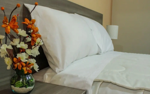 Hotel Andino Selva Alegre