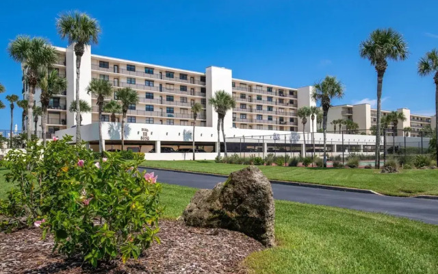 Sand Dollar 306