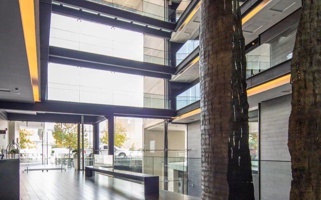 Wyndham Santiago Pettra