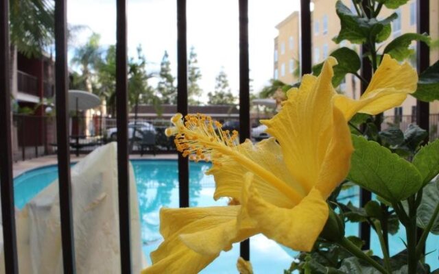 Budget Inn Anaheim