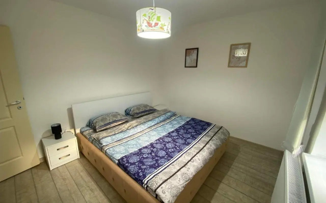 The Best Apartament Central