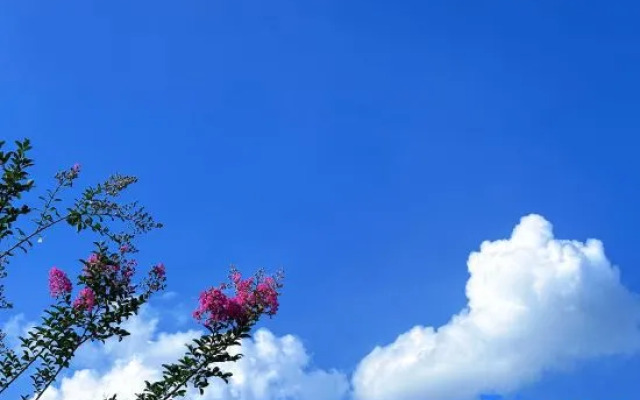 Moganshan·Original Jie Mountain Viewing Sea of Clouds B&B