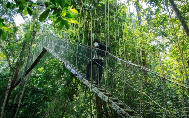 Mutiara Taman Negara