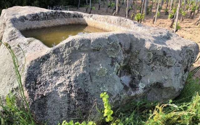 Appartamenti Santa Caterina