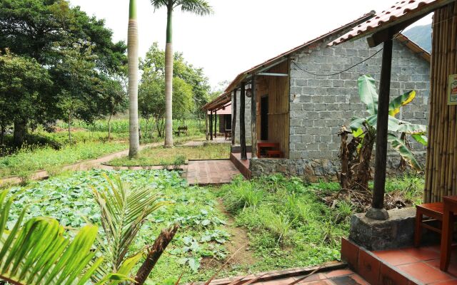 Long Phuong Homestay