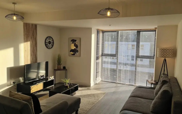 Modern City Apartment