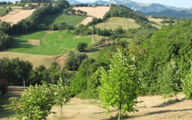Agriturismo Al Respiro Nel Bosco