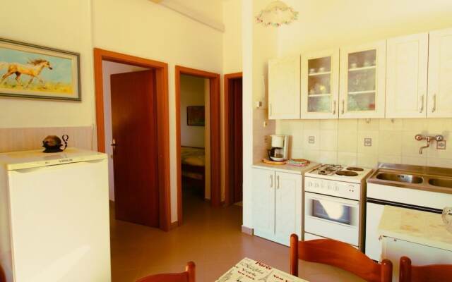 House Vlada