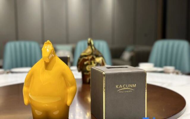 Shanghai Kacunm Hotels