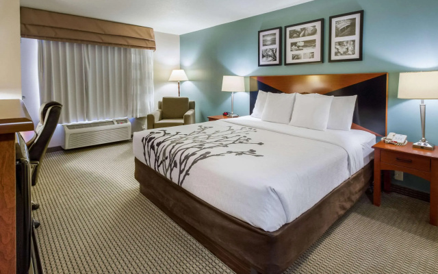Sleep Inn & Suites Rapid City