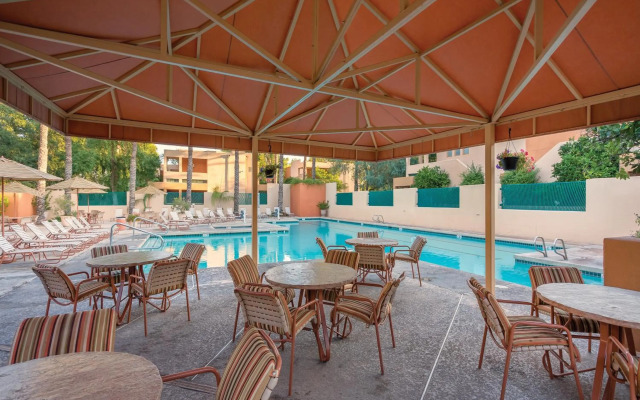 Orange Tree Resort