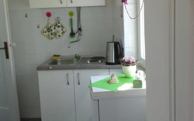 Apartment Ana