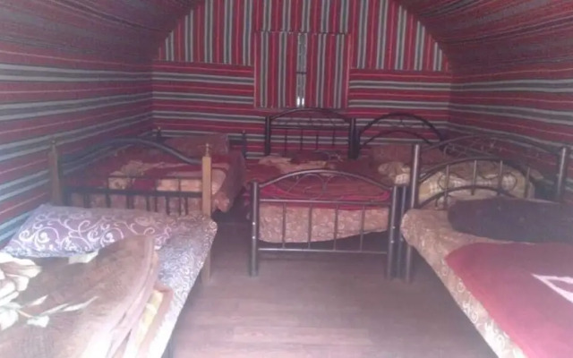 Bedouin habits tours camp