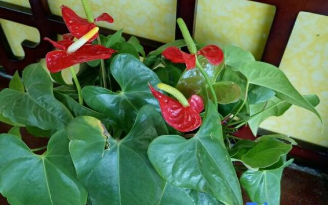 Yiyang Hotel (Yiling Wanda Plaza, Yichang Three Gorges Enterprise Base)