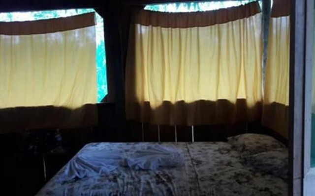 Amazon Wonder Expeditions