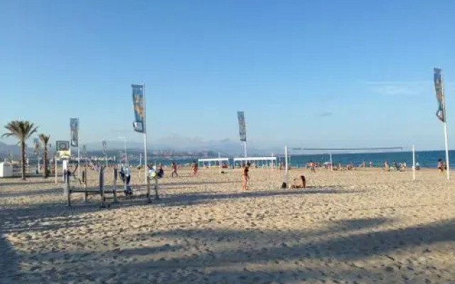 Estudio Playa Muchavista