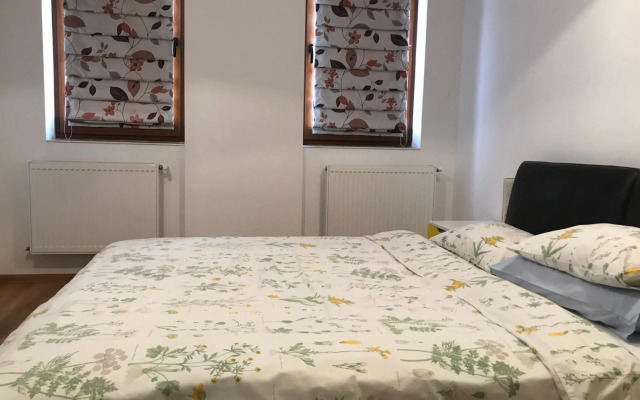 luxury apartment mihai bravu