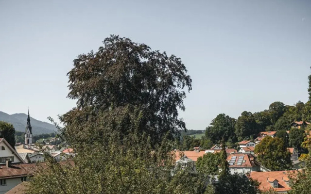 Suiten Zantl