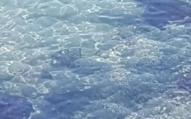 Suítes home paraíso no norte