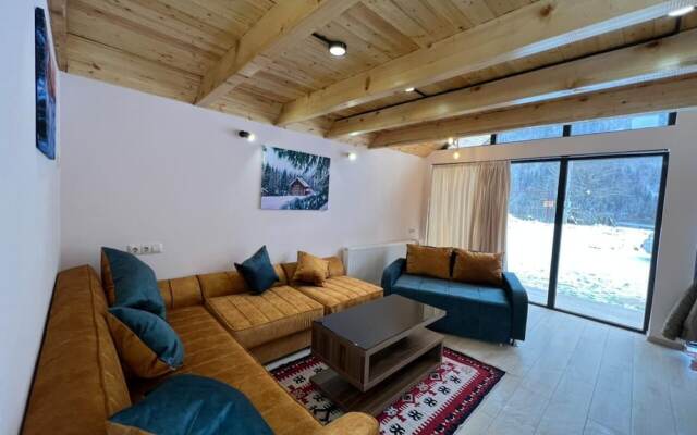 Borjomi inn