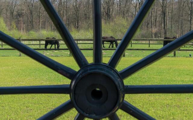 Recreatieoord Hippique