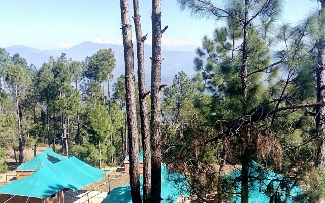 Bay Berry Camp & Resort
