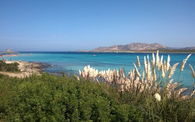 AffittaSardegna - Gabbiano Apartments