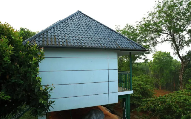 Wayanad Cave N Pillar Resort