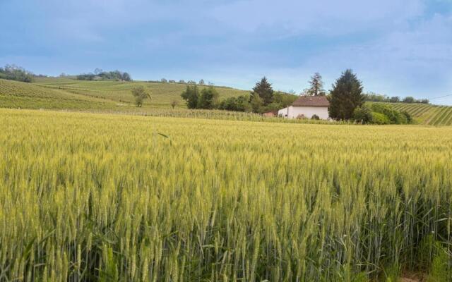 White Tail Organic Farm