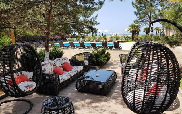 Dreamland Oasis 7 Chakvi