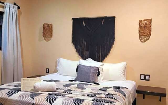 Macondo Raíz Holbox