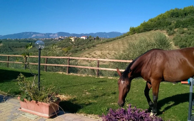 Agriturismo Collecera