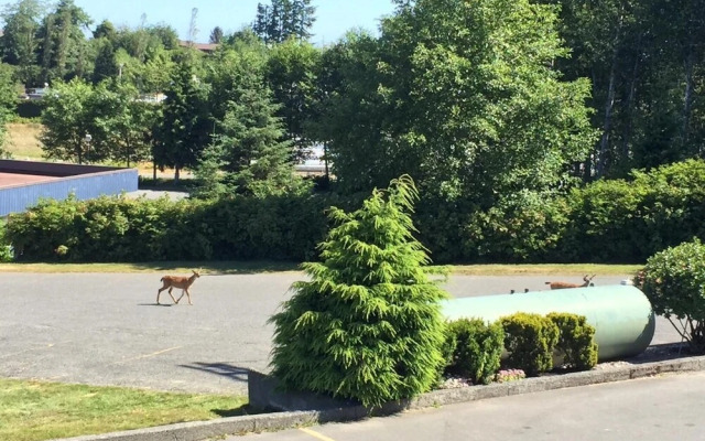 Haida Way Motor Inn