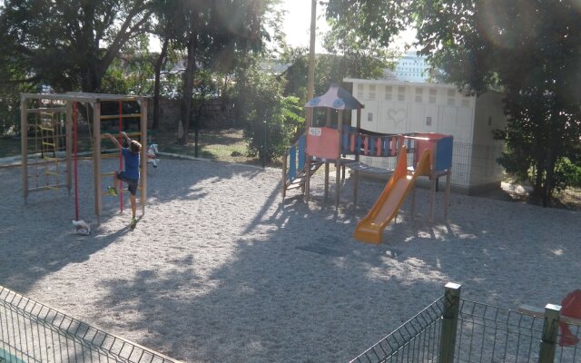 Happy Jackdaw in the Center of Split