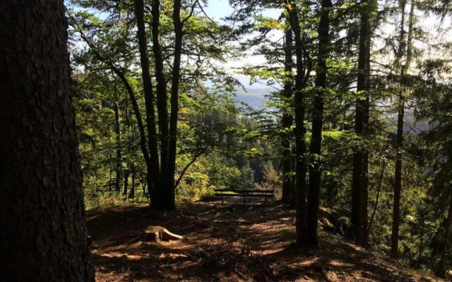 Ferienwohnungen Haus Elisabeth