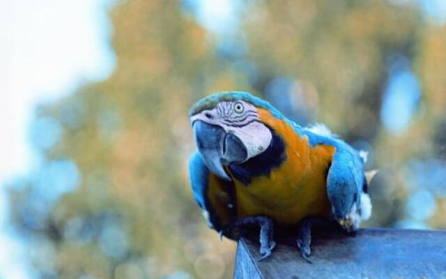 Hotel Vale do Jiquiriçá