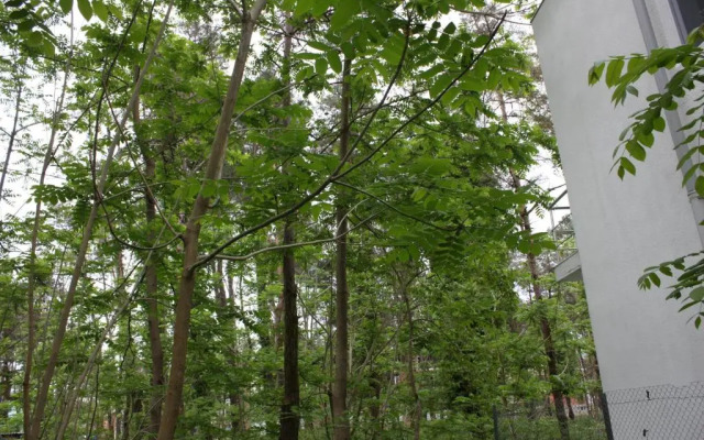 House for rent in Shekvetili