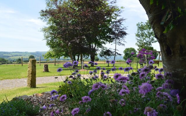 Caradon Lodge