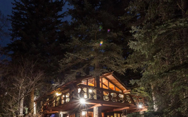 Treehouse by the Stream