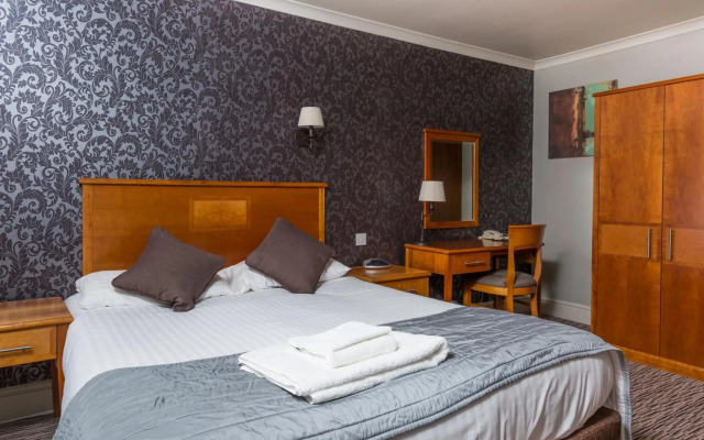 Dog & Bear Hotel