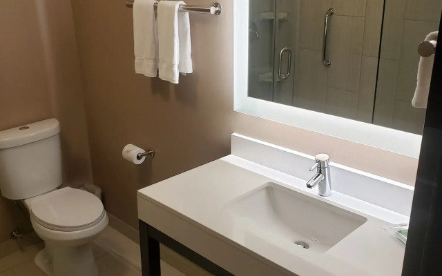 Holiday Inn Chicago SW-Countryside ConfCtr by IHG