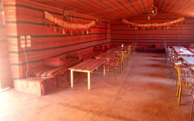 Bedouin habits tours camp