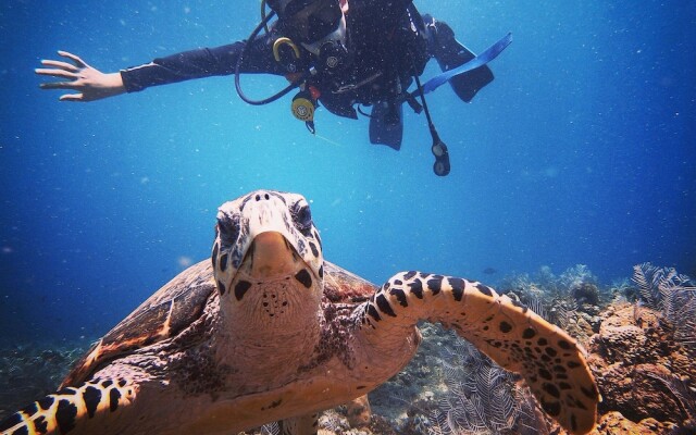 Sahera Dive Resort, Amed