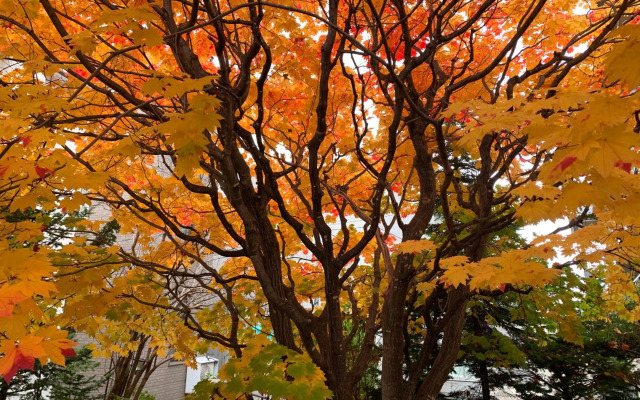 HDO Sumikawa House 7LDK max21ppl 4xParking