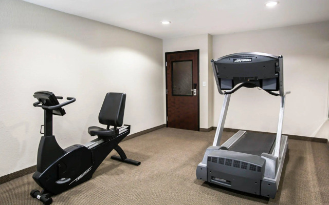 Spark by Hilton Killeen