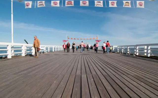 Vic Apartament Welkin