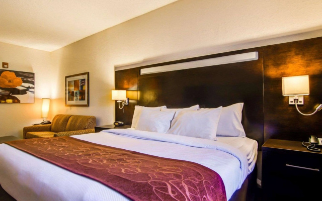Comfort Suites Northside Hospital Gwinnett